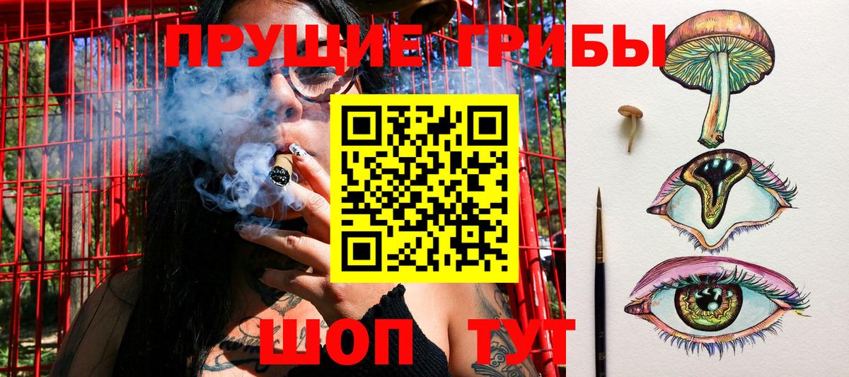 Псилоцибиновые грибы мухоморы Бугуруслан