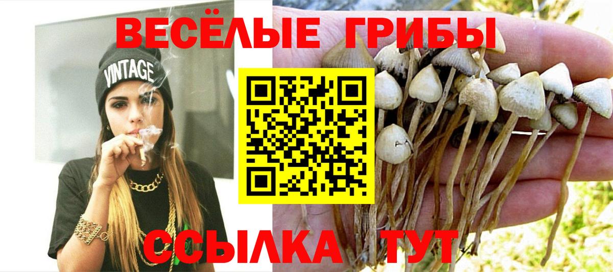Псилоцибиновые грибы мухоморы  Псилоцибиновые грибы Psilocybine cubensis  Вход с VPN  Бугуруслан 